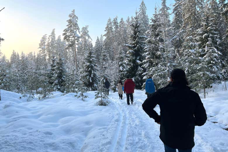 Sipoonkorpi en invierno