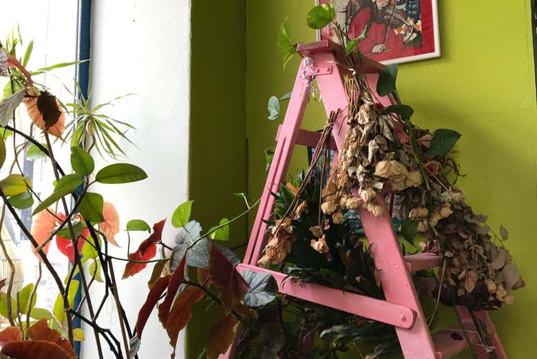 Fleurs dans un magasin de Kallio