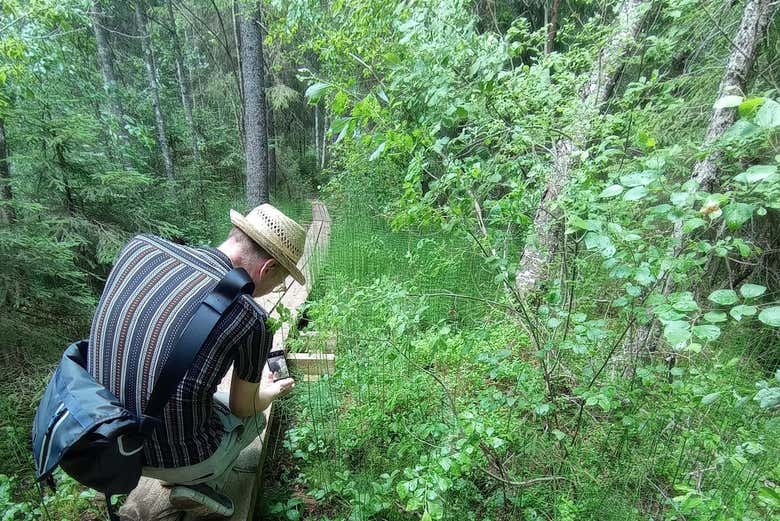 Apprenez-en davantage sur la faune et la flore locales