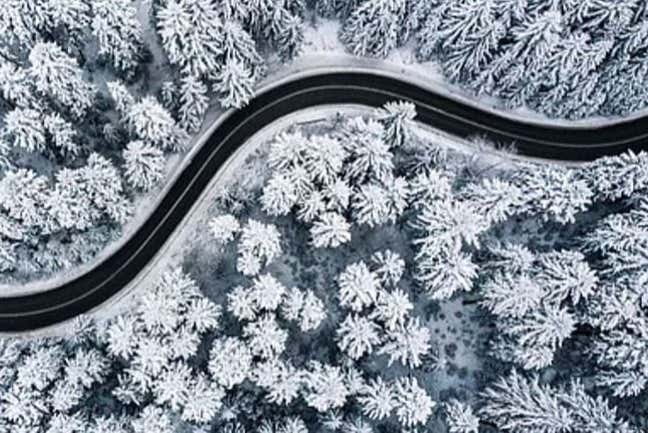 Vistas de los bosques de Helsinki nevados