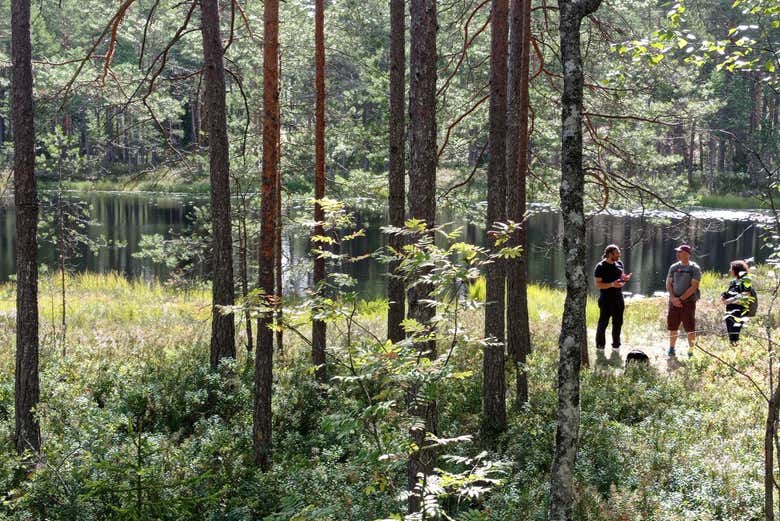 Découvrez la forêt boréale