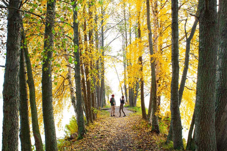 Descubriendo los bosques de Liesjärvi en otoño