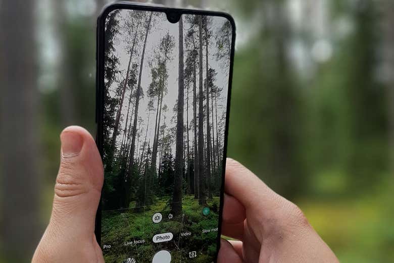 Tomando fotos del parque