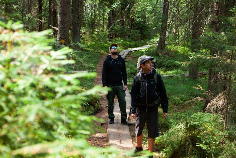 Trilha pela Parque Nacional Liesjärvi
