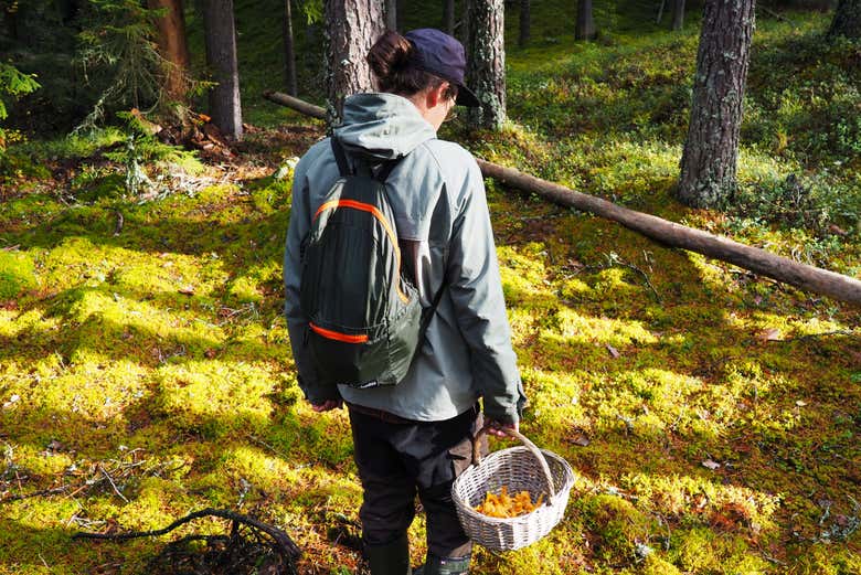 Mushroom hunting in autumn