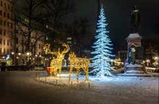 Tour navideño por Helsinki
