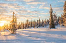 Excursión a Saariselkä + Raquetas de nieve, sauna y almuerzo