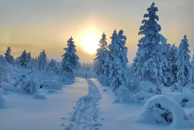 Lever du soleil à Inari