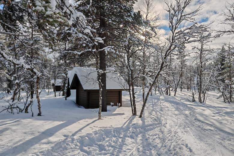 Paisajes nevados de Saariselkä