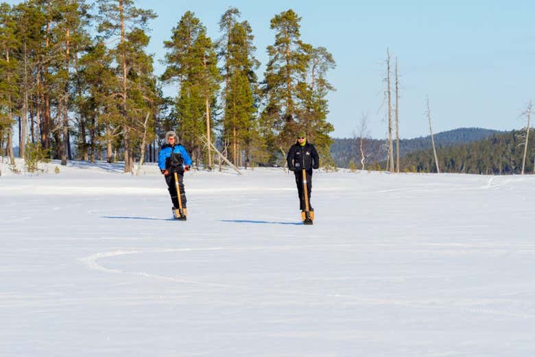 Vi divertirete un mondo!
