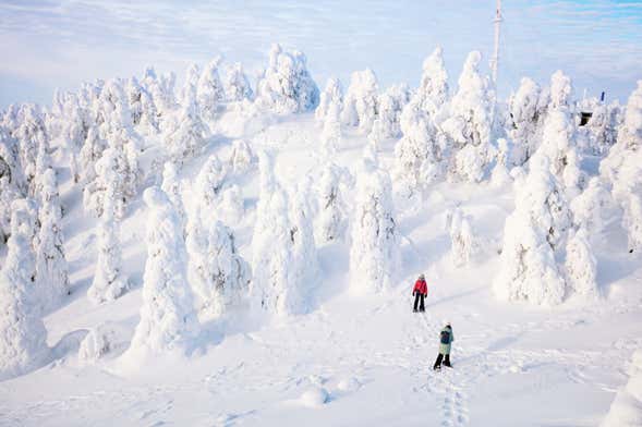 Snowshoeing Tour in Inari