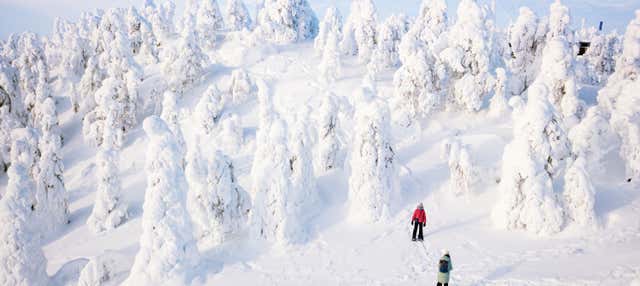 Balade en raquettes à neige à Inari