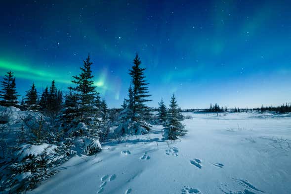 Snowshoeing under the Northern Lights