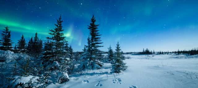 Snowshoeing under the Northern Lights
