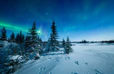 Passeggiata con le racchette da neve sotto l'aurora boreale
