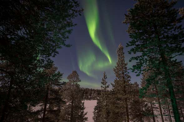 Tour de la aurora boreal en el lago Inari