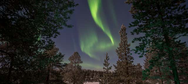 Lake Inari Northern Lights Tour