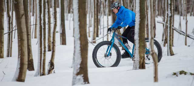 Balade en fat bike dans les forêts d'Ivalo