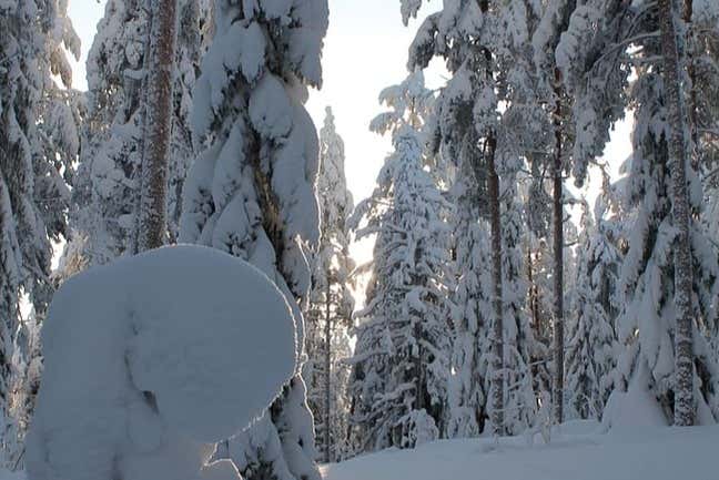 Paisajes nevados de Jyväskylä