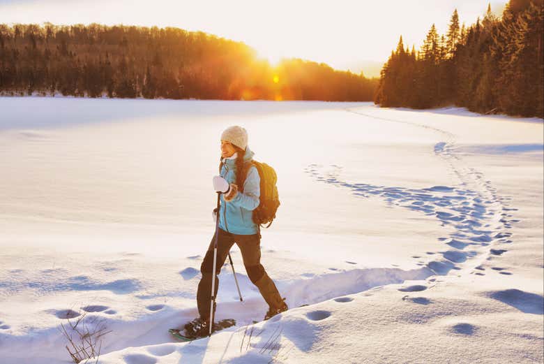 Explorando los bosques de Jyväskylä