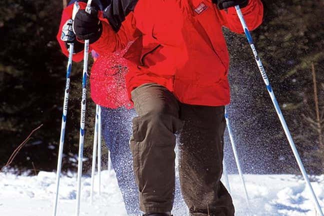 Tour com raquetes de neve por Jyväskylä