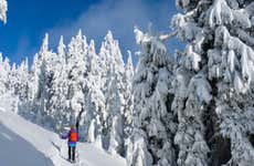 Paseo con raquetas de nieve