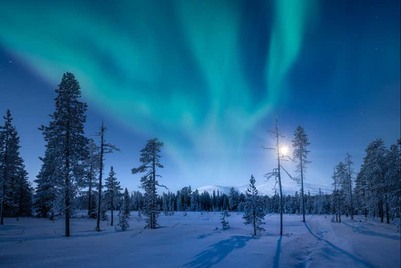Contemplando a aurora boreal
