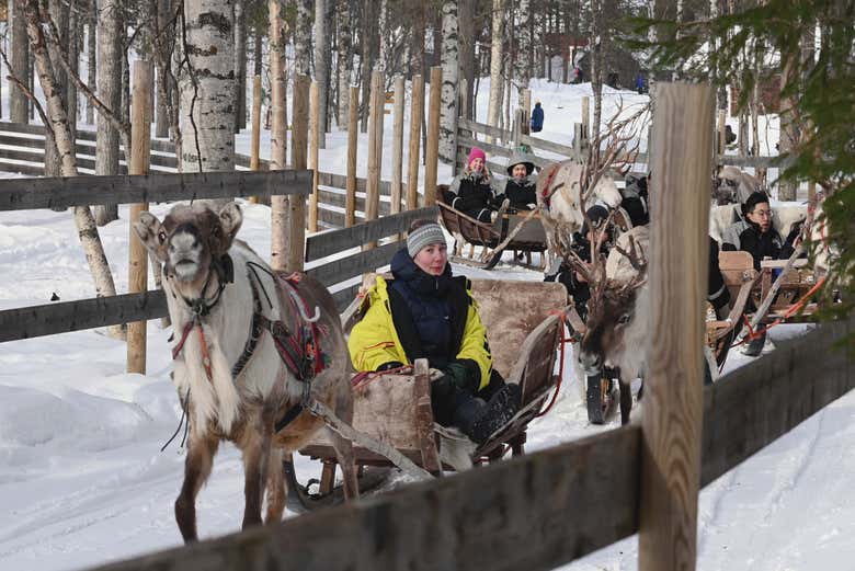 Sulle slitte trainate da renne