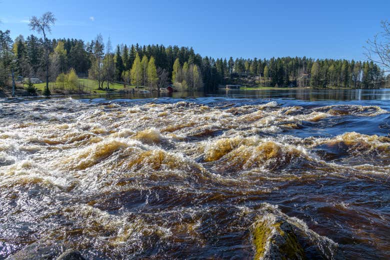 Esperienza di rafting sul fiume Kuusaankoski