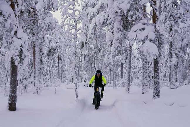 Esplorando i boschi innevati di Kuusa