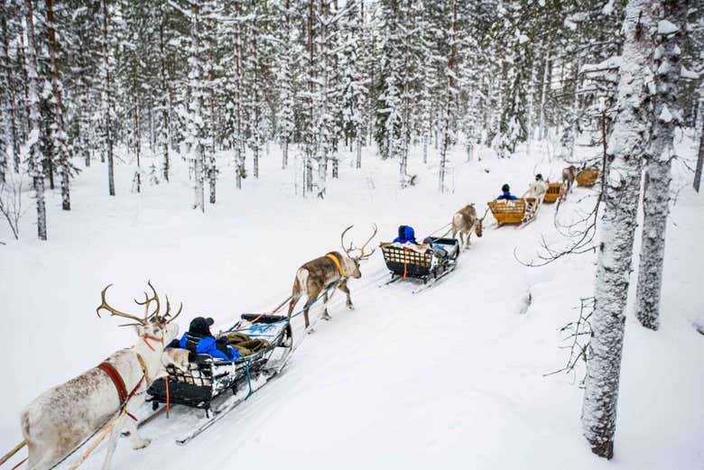Durante el paseo en trineo