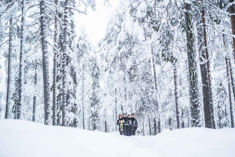 Un camino nevado a través del bosque