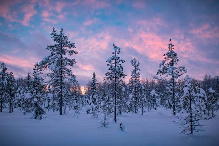 Paesaggi innevati di Levi
