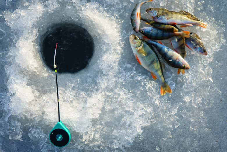 Uma ótima pesca!