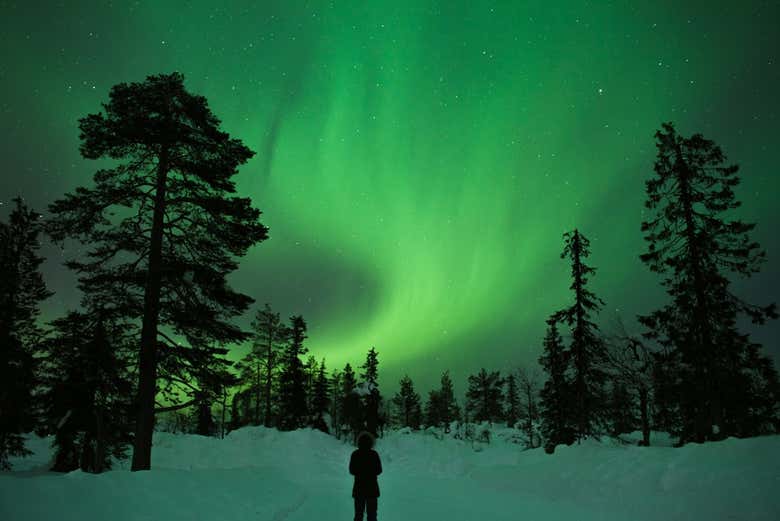 Apreciando a aurora boreal