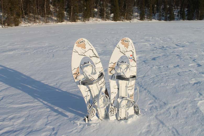 Levi Snowshoe Tour Book Online at