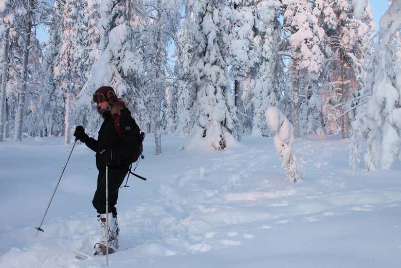 Passeggiata con le racchette da neve
