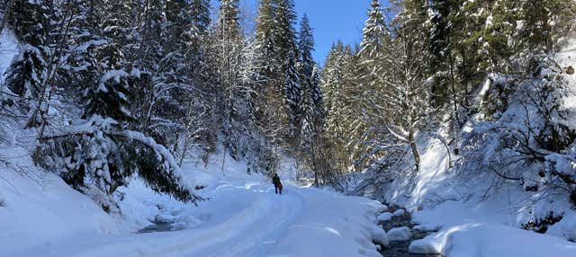 Passeggiata con le racchette da neve al Parco nazionale Pallas-Yllästunturi