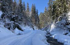 Paseo con raquetas de nieve por el Parque Pallas-Yllästunturi