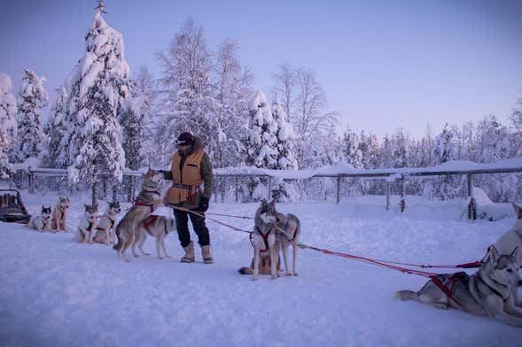 Paseo en trineo de perros husky por Levi