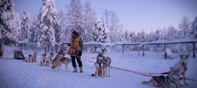 Husky Sledding Experience