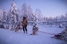 Paseo en trineo de perros husky por Levi