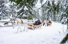 Paseo en trineo de renos con fotógrafo profesional