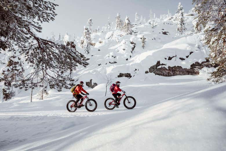 Visite du Parc national Pyhä-Luosto