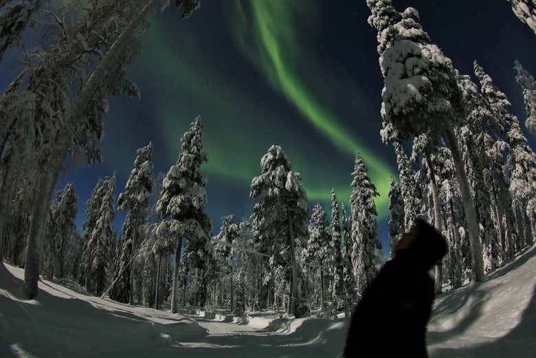 In search of the aurora borealis with snowshoes