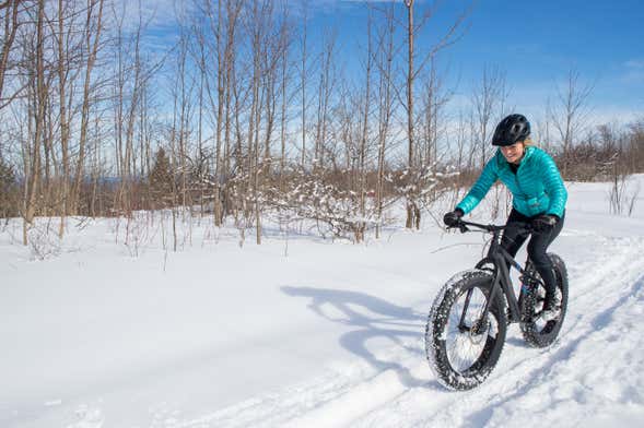 Tour en bicicleta eléctrica por el Parque Nacional Pyhä-Luosto