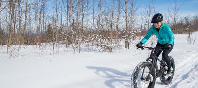Tour de bicicleta elétrica pelo Parque Nacional Pyhä-Luosto