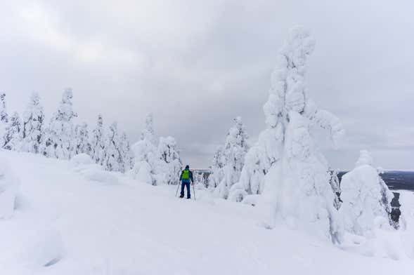 Curso de alpinismo no Parque Nacional Pyhä-Luosto
