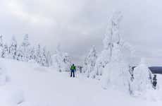 Curso de alpinismo en el Parque Nacional Pyhä-Luosto