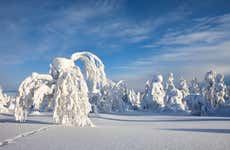Curso de sobrevivência no Parque Nacional Pyhä-Luosto